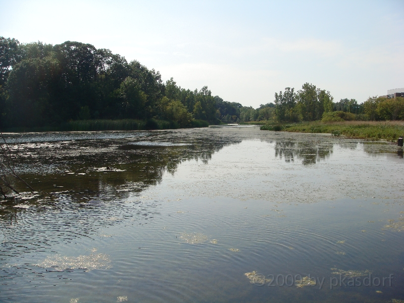 Western Michigan [2009] 379.JPG - Scenes from Frederik Meijer Gardens & Sculpture Park.